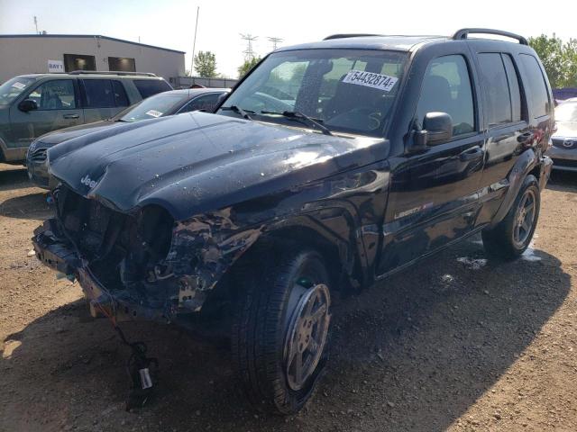 jeep liberty 2003 1j4gl48k13w663785