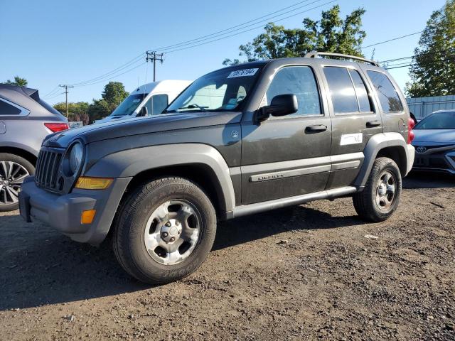 jeep liberty sp 2006 1j4gl48k16w163467