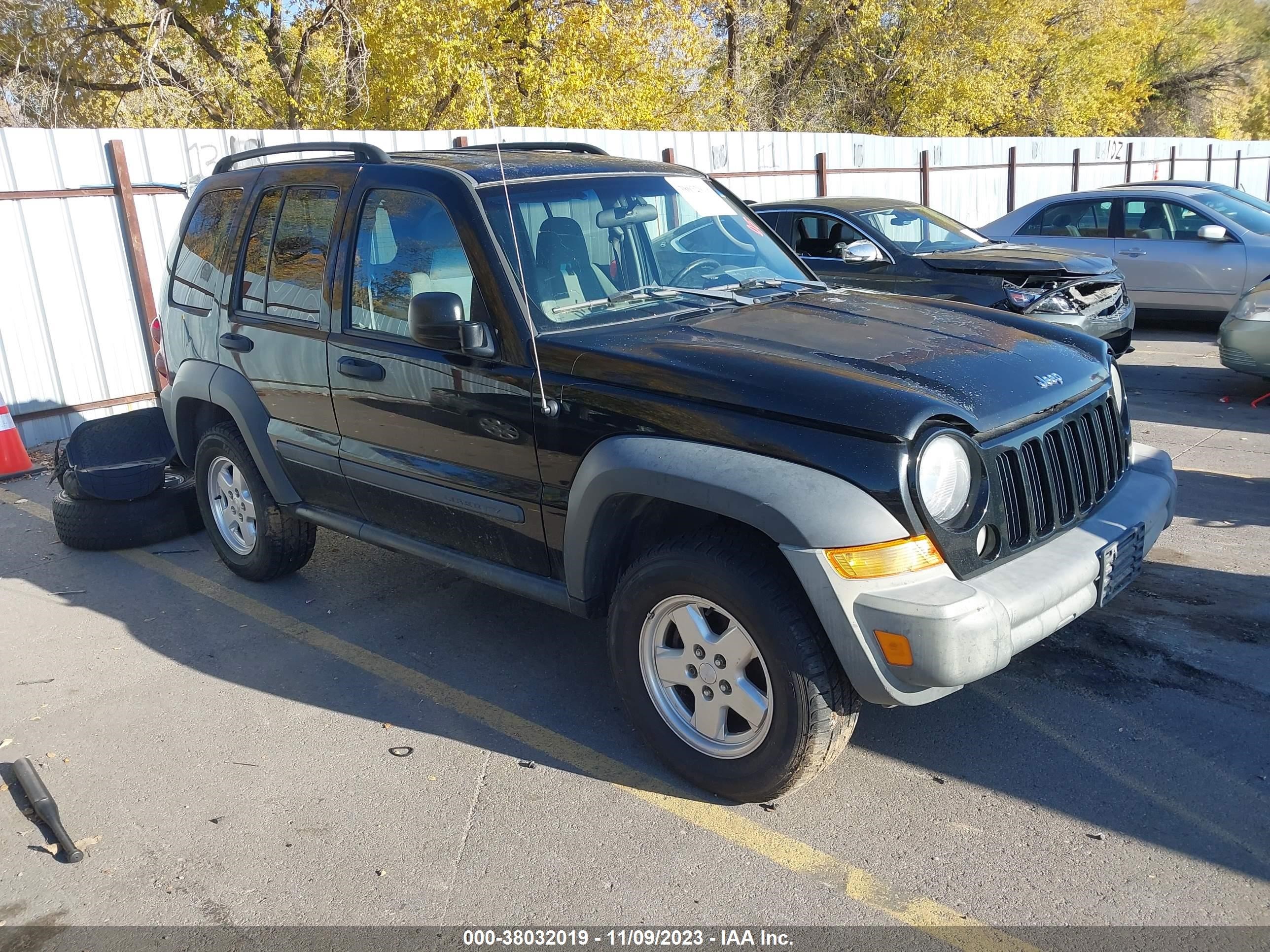 jeep liberty (north america) 2006 1j4gl48k16w253654