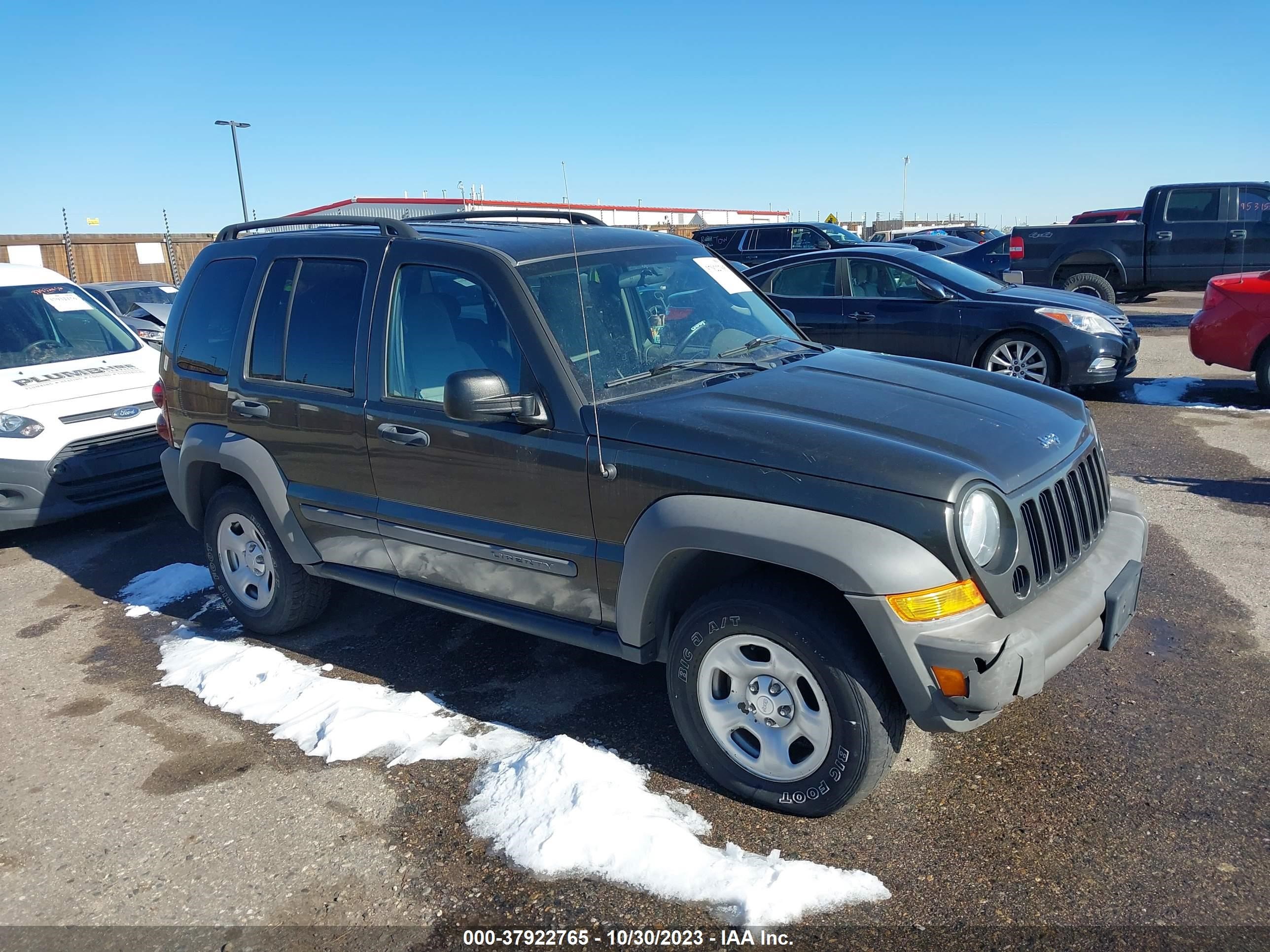 jeep liberty (north america) 2006 1j4gl48k16w279686