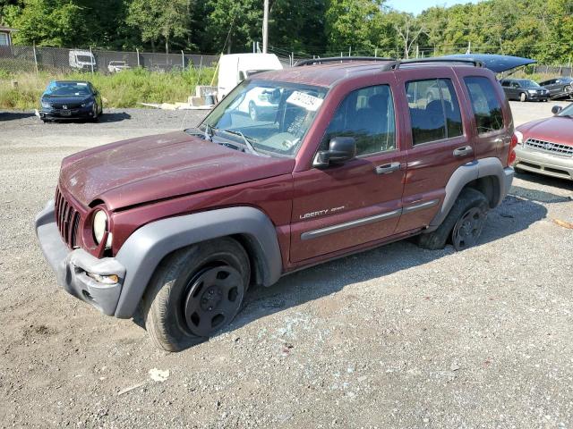 jeep liberty sp 2003 1j4gl48k23w613770