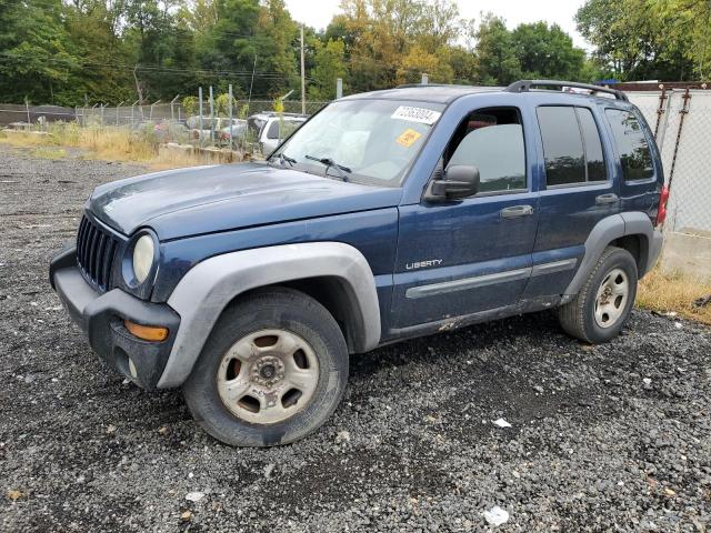 jeep liberty sp 2004 1j4gl48k24w112489