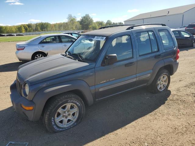 jeep liberty sp 2002 1j4gl48k32w340479