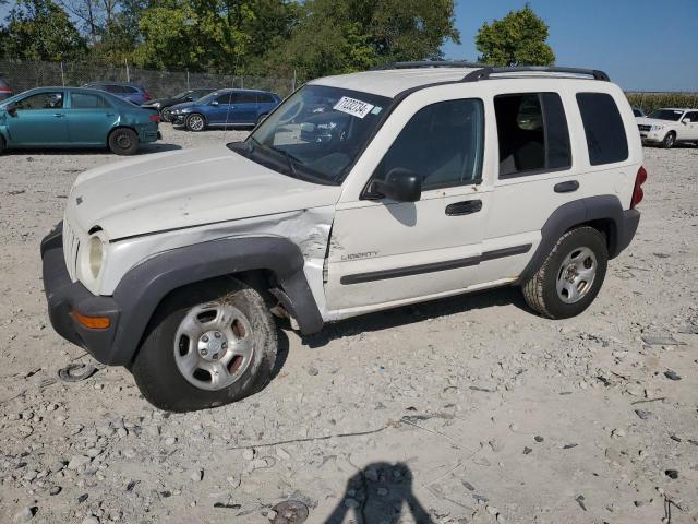 jeep liberty sp 2004 1j4gl48k34w131908