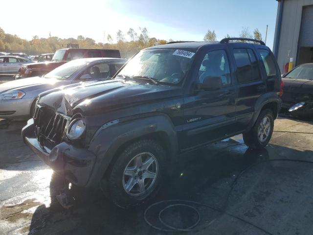 jeep liberty sp 2004 1j4gl48k34w273448