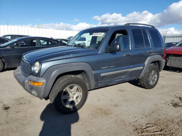 jeep liberty sp 2002 1j4gl48k42w270393