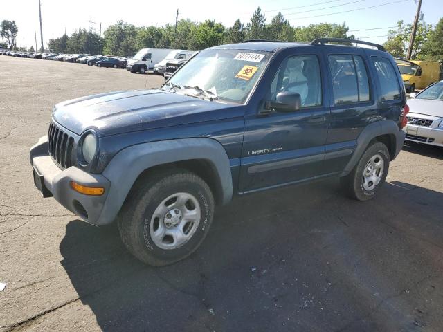 jeep liberty 2003 1j4gl48k43w674747