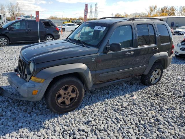 jeep liberty sp 2006 1j4gl48k46w174611