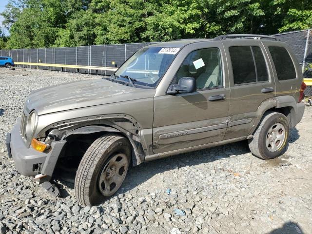 jeep liberty 2006 1j4gl48k46w241790