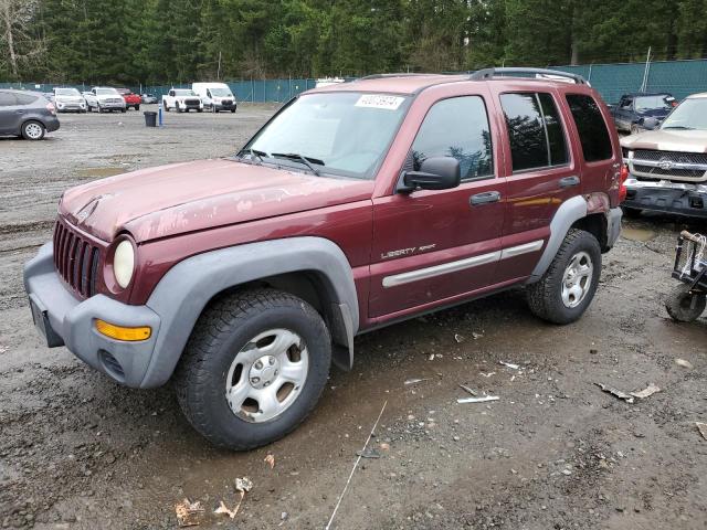 jeep liberty 2002 1j4gl48k52w131910