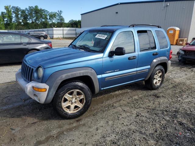 jeep liberty sp 2003 1j4gl48k53w652871