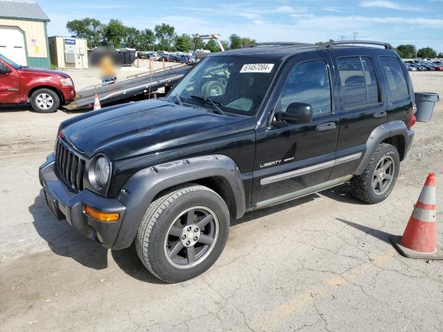 jeep liberty 2003 1j4gl48k53w663790