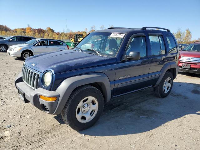 jeep liberty sp 2003 1j4gl48k53w683991