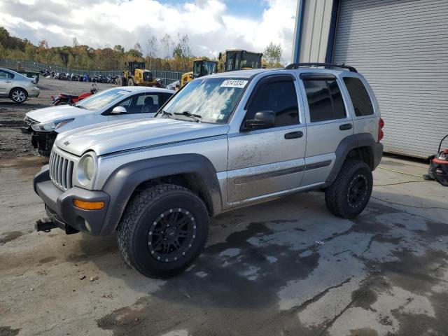 jeep liberty sp 2004 1j4gl48k54w142733