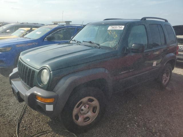 jeep liberty sp 2003 1j4gl48k63w647551