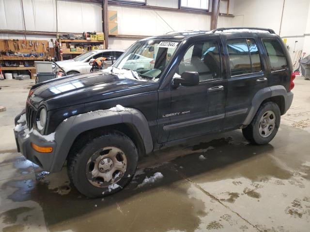 jeep liberty sp 2003 1j4gl48k63w652409