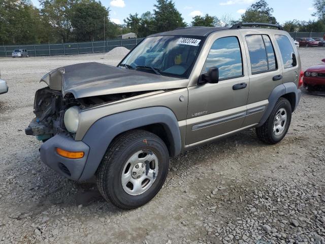 jeep liberty sp 2004 1j4gl48k64w168581