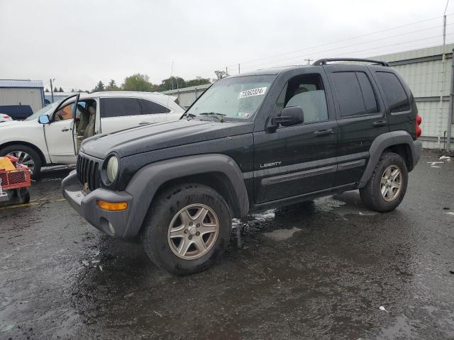 jeep liberty sp 2004 1j4gl48k64w220971