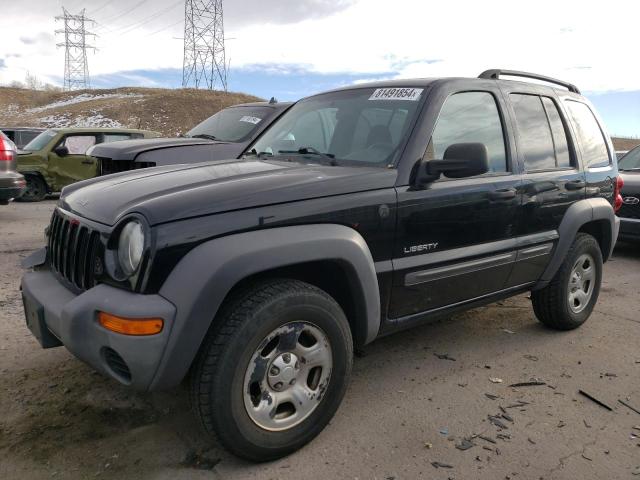 jeep liberty sp 2004 1j4gl48k64w271645