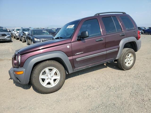 jeep liberty sp 2004 1j4gl48k64w304496