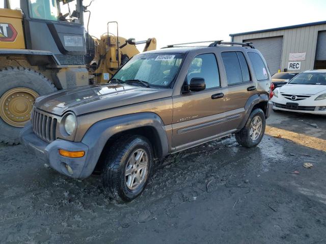 jeep liberty sp 2002 1j4gl48k82w179403