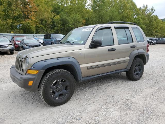 jeep liberty sp 2006 1j4gl48k96w230915