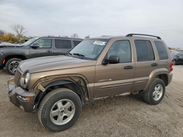 jeep liberty li 2002 1j4gl58k12w187087