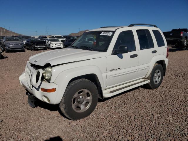 jeep liberty li 2002 1j4gl58k12w201330