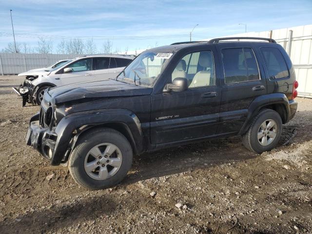 jeep liberty li 2003 1j4gl58k13w690099