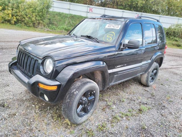 jeep liberty li 2002 1j4gl58k22w180178