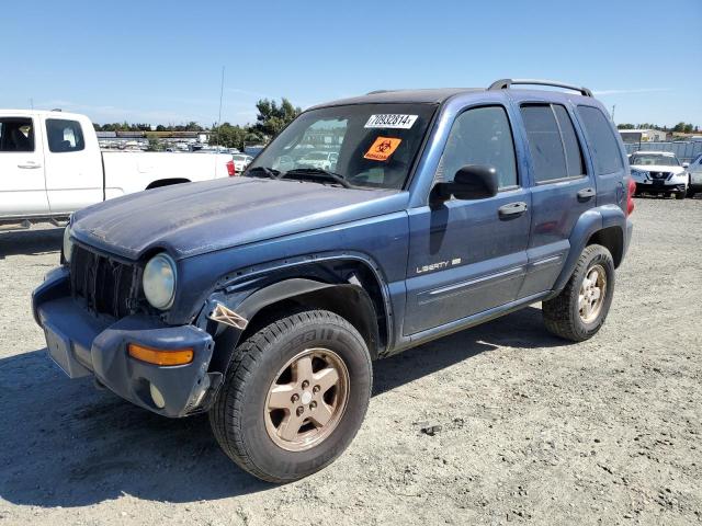 jeep liberty li 2002 1j4gl58k22w230772