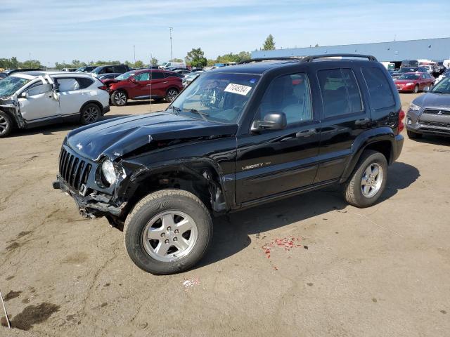 jeep liberty li 2002 1j4gl58k32w213348