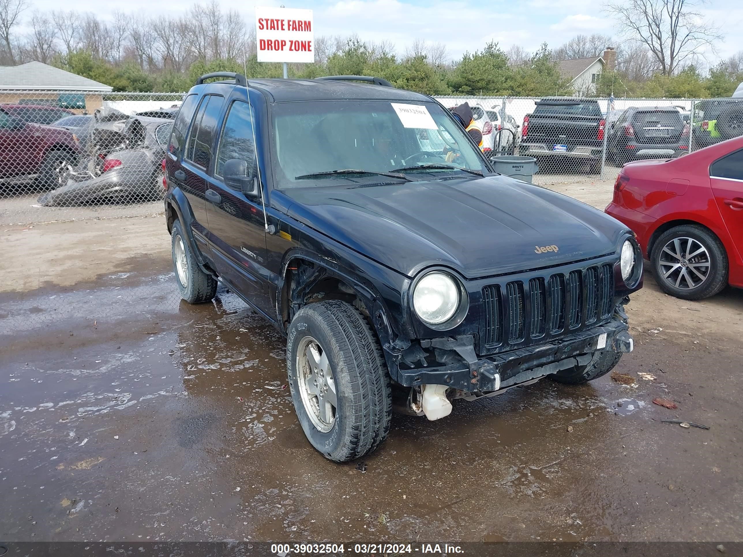 jeep liberty (north america) 2002 1j4gl58k42w339153