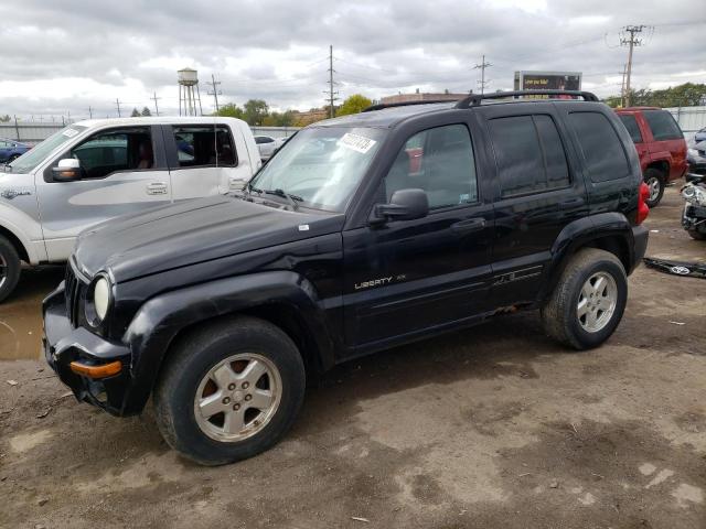 jeep liberty li 2002 1j4gl58k42w353408