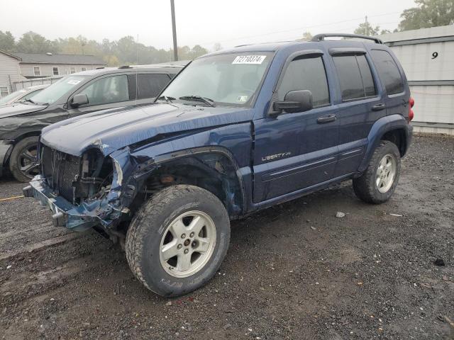 jeep liberty li 2002 1j4gl58k52w217417