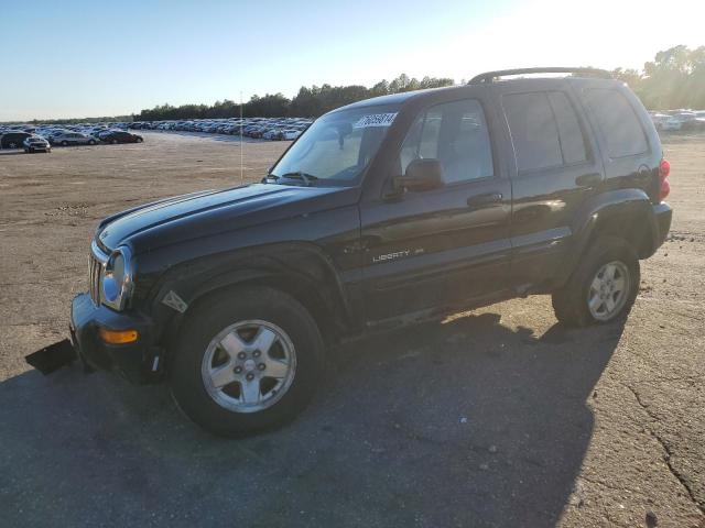 jeep liberty li 2003 1j4gl58k53w639186