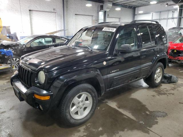 jeep liberty li 2004 1j4gl58k54w276924