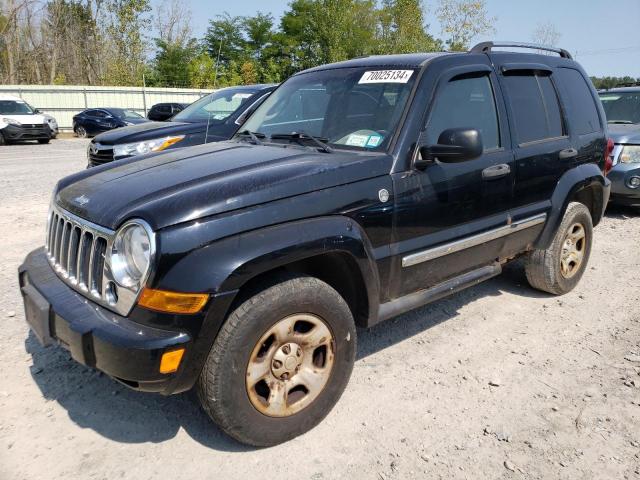 jeep liberty li 2006 1j4gl58k66w238248