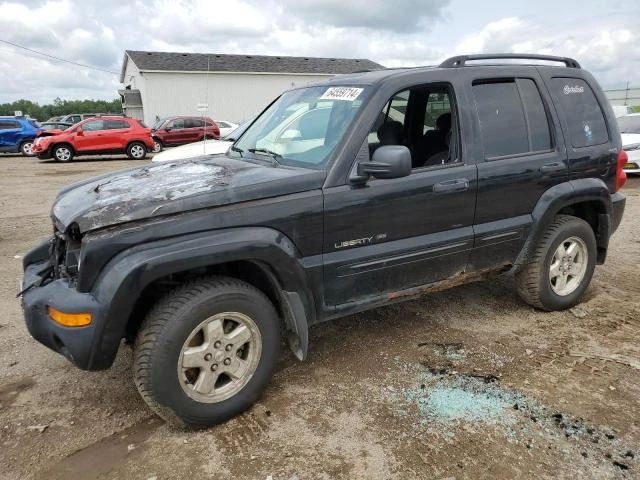 jeep liberty li 2002 1j4gl58k72w224434