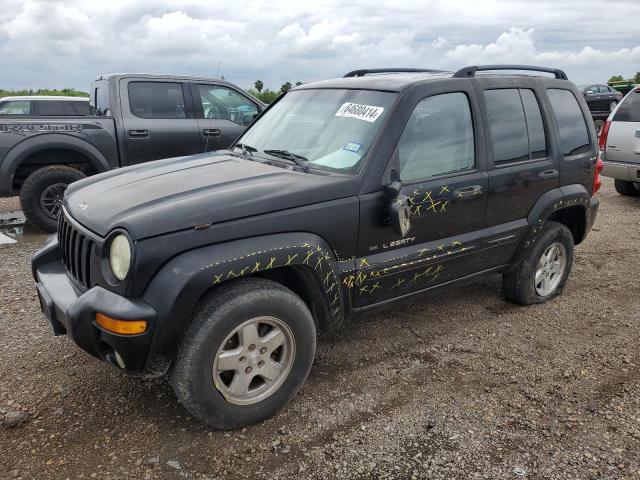 jeep liberty li 2002 1j4gl58k82w246619