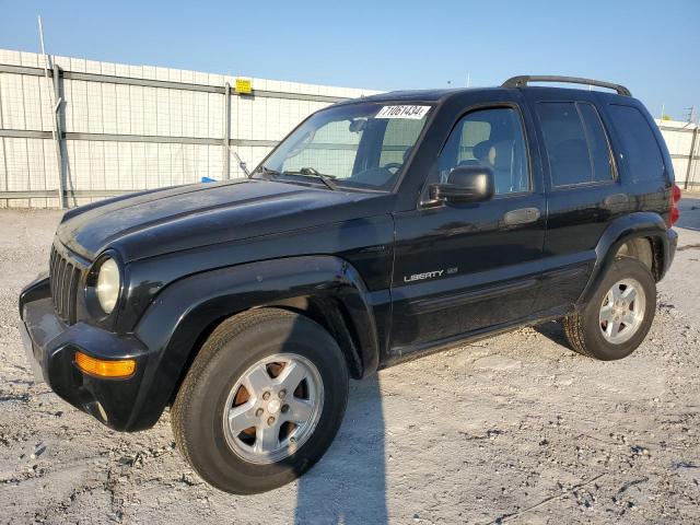 jeep liberty li 2002 1j4gl58k82w357008