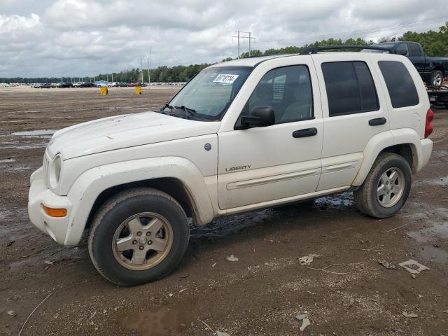 jeep liberty li 2004 1j4gl58k84w149732