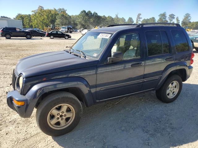 jeep liberty li 2002 1j4gl58kx2w230874