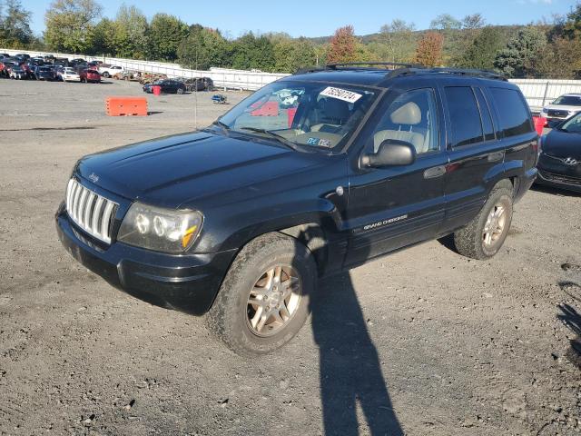 jeep grand cher 2004 1j4gw48s94c300256