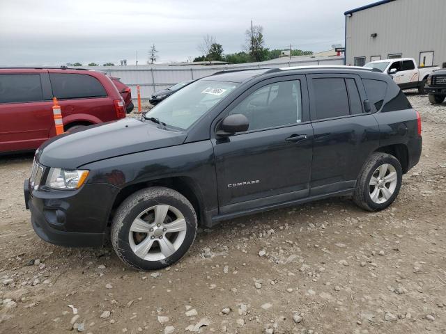 jeep compass 2011 1j4nf1fb1bd149591