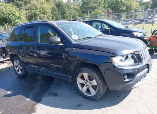 jeep compass 2011 1j4nf1fb1bd226119