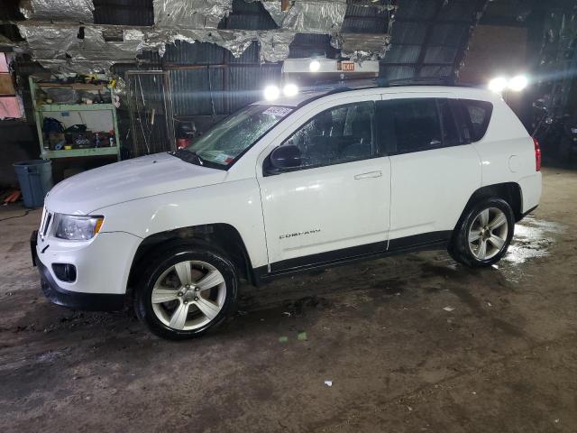 jeep compass 2011 1j4nf1fb4bd282748