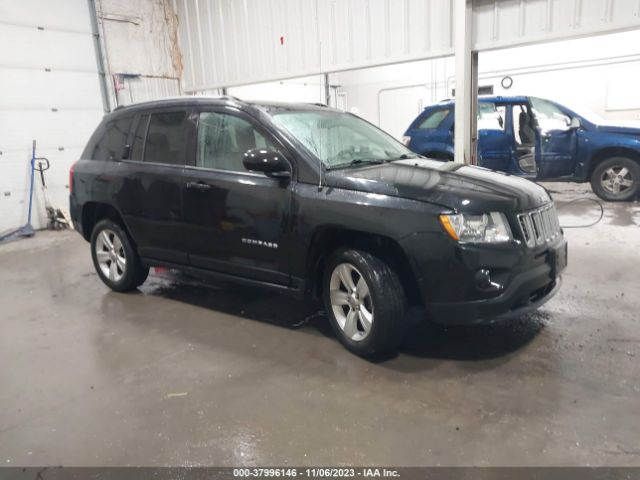 jeep compass 2011 1j4nf1fb6bd154950