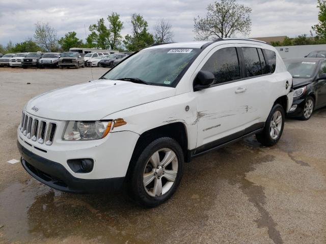 jeep compass 2011 1j4nf1fb6bd235446