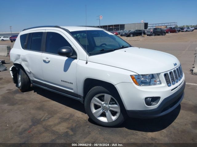 jeep compass 2011 1j4nf1fb8bd183317